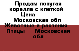 Продам попугая корелла с клеткой › Цена ­ 5 000 - Московская обл. Животные и растения » Птицы   . Московская обл.